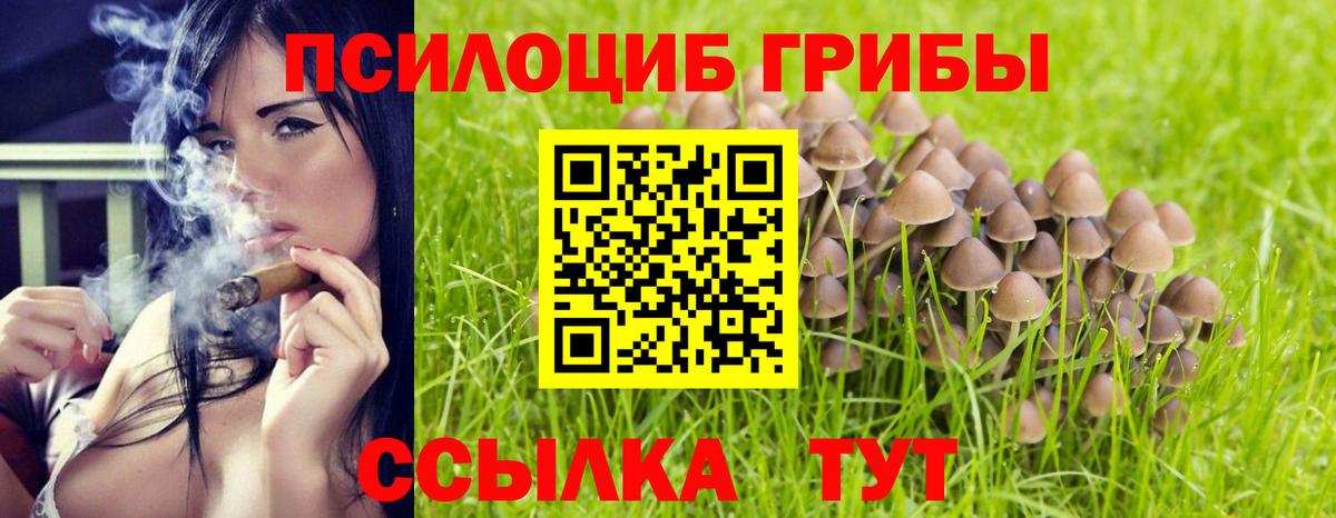 Псилоцибиновые грибы GOLDEN TEACHER Междуреченск